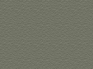 Aspen metal roof color