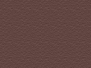 Cocoa Brown metal roof color