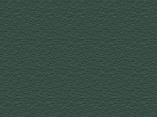 Evergreen Hunter Green metal roof color