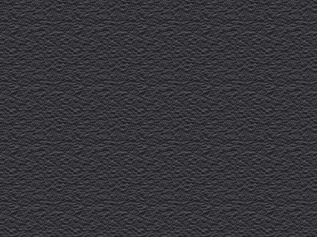 Onyx Black metal roof color
