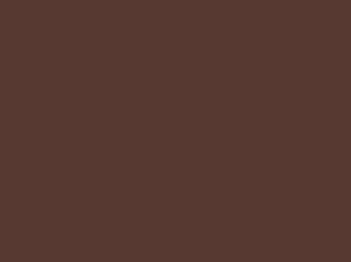 Brown metal roof color