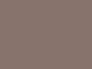 Buckskin metal roof color