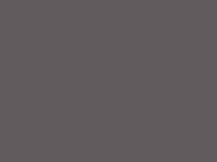 Charcoal metal roof color