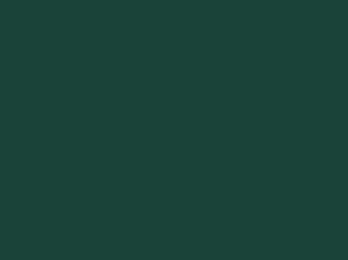 Forest Green metal roof color