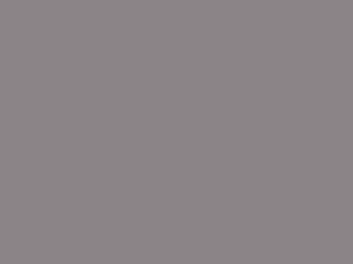 Pewter Gray metal roof color
