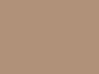 Tan metal roof color