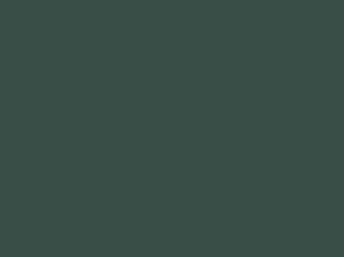 Classic Green metal roof color
